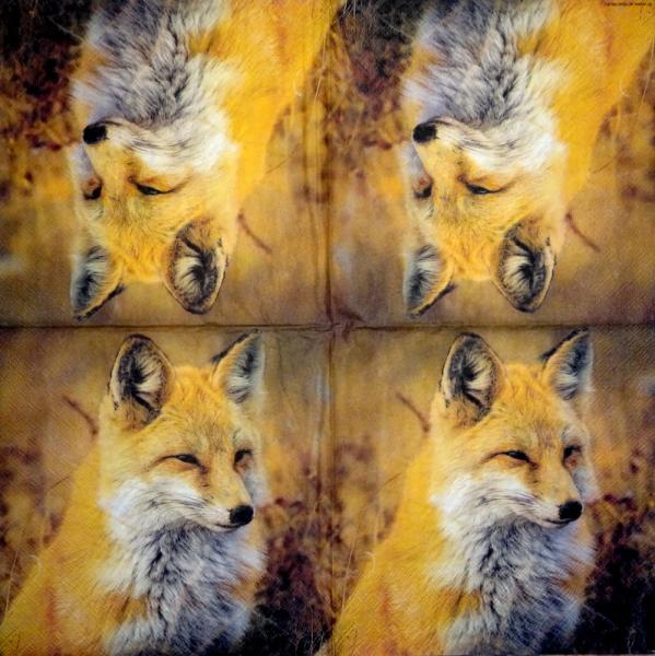 054 Animals Autumn - 3-ply - CS